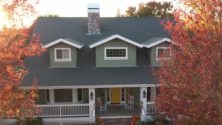 Best Metal Roofing Installation  in Lam, AR