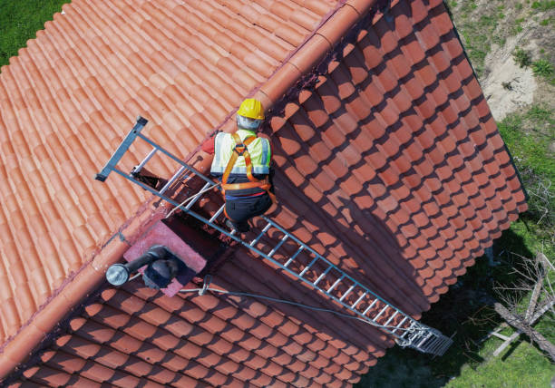 Best Roof Maintenance and Cleaning  in Lam, AR